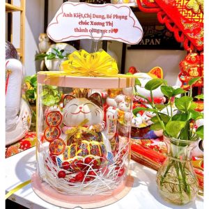 Mèo thần tài vẫy tay 21cm dải tiền kèm hộp mica - Quà khai trương, tân gia đẹp mắt