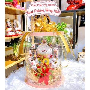 Mèo Thần Tài Vẫy Tay Chiêu Tài 25cm Kèm Hộp MicaTặng Tân Gia, Khai Trương HCM