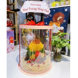 Cóc Ngậm Tiền Vàng (Thiềm Thừ) Phong Thủy Màu Vàng 25cm – Quà Tặng Tân Gia, Khai Trương Ý Nghĩa & Tấn Tài Tấn Lộc