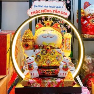 mèo thần tài tiền vô như nước