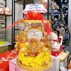 đế vương vàng 35cm +hq