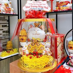 Hộp quà mèo tiền vô như nước
