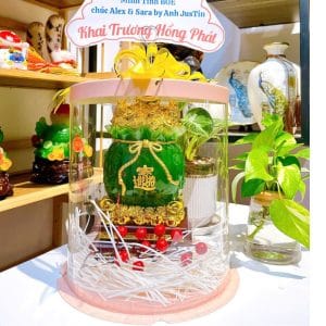 Túi Tiền Kim Bảo Phong Thủy Xanh 24cm – Quà Tặng Cao Cấp, Gói Quà Mica Hỏa Tốc HCM