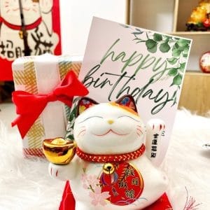 COMBO QUÀ TẶNG MÈO MINI