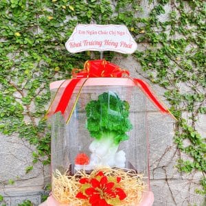 Hộp Quà Tượng Bắp Cải Phong Thủy Chiêu Tài May Mắn, Giữ Lộc