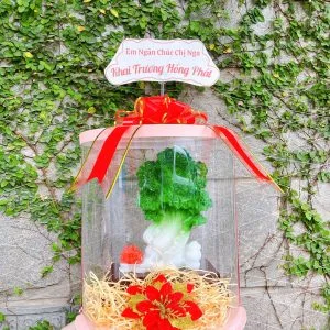 Hộp Quà Tượng Bắp Cải Phong Thủy Chiêu Tài May Mắn, Giữ Lộc