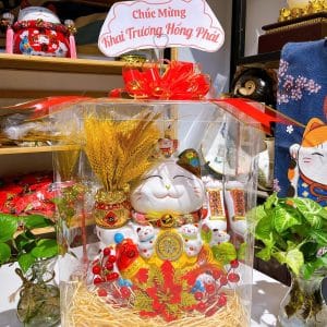 Hộp Quà Mica Vuông Mèo Thần Tài Như Ý Cát Tường 35cm