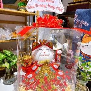 Combo Hộp Quà Mica Vuông Mèo Thần Tài Đế Vương Đỏ 35cm – Biểu Tượng Tài Lộc Sang Trọng